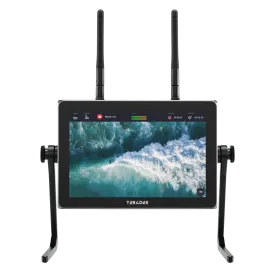 Wave Monitor-Encoder